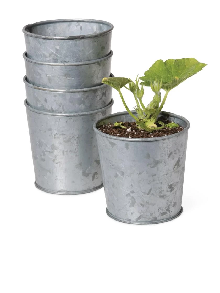 Galvanized Planting Cups, Set Of 5 3 Galvanized Planting Cups, Set Of 5