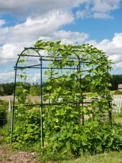 Titan Squash Tunnel 15 Titan Squash Tunnel -Cheap A Fresh Yard Store 8596276 0133 tif