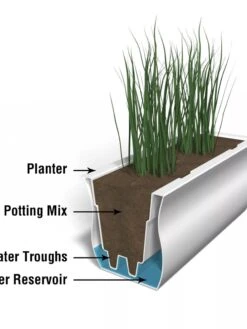 Valencia Window Box, 4' -Cheap A Fresh Yard Store 8596436 17V tif 1