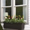 Valencia Window Box, 3' -Cheap A Fresh Yard Store 8596436 7496 tif