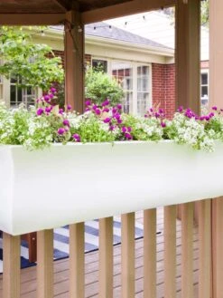 Valencia Window Box, 4' -Cheap A Fresh Yard Store 8596437 006V tif