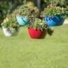 Viva Self-Watering Hanging Basket, 14" Diameter 1 Viva Self-Watering Hanging Basket, 14" Diameter -Cheap A Fresh Yard Store 8596442 0851 tif