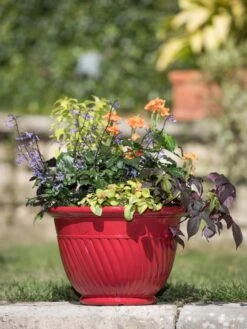 Mazzano Self-Watering Planters 13 Mazzano Self-Watering Planters -Cheap A Fresh Yard Store 8596564 4883 tif