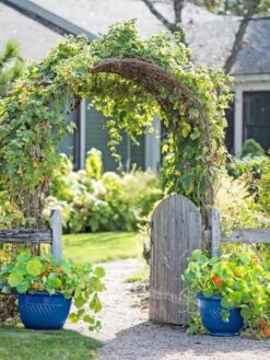 Mazzano Self-Watering Planters 9 Mazzano Self-Watering Planters -Cheap A Fresh Yard Store 8596570 10231 tif