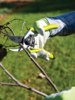 Gardener's Pro Pruner #2 -Cheap A Fresh Yard Store 8596605 032 tif
