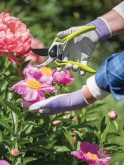 Gardener's Pro Pruner #2 -Cheap A Fresh Yard Store 8596605 1261 tif