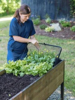 Pop-Up Bird Netting 7 Pop-Up Bird Netting -Cheap A Fresh Yard Store 8596764 PopUpBirdNetting gif