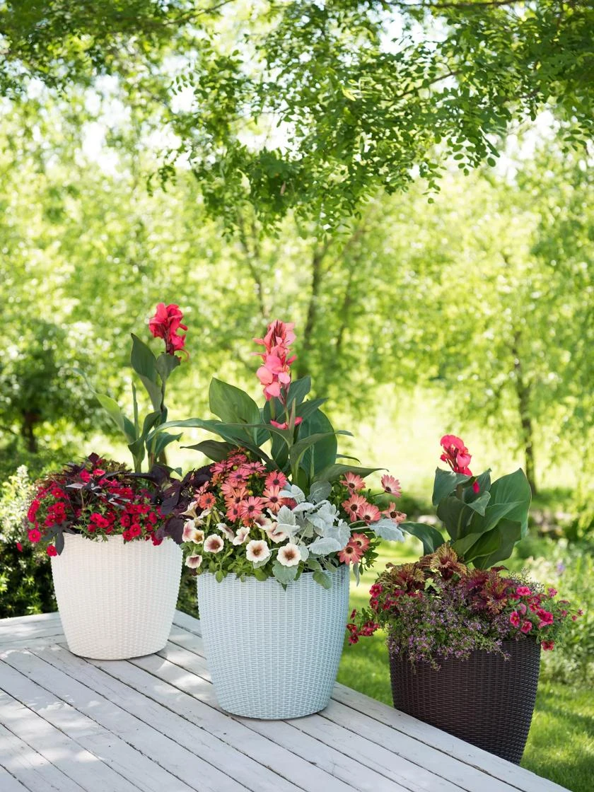 Weave Self-Watering Round Planter, 14" 4 Weave Self-Watering Round Planter, 14" - Image 2