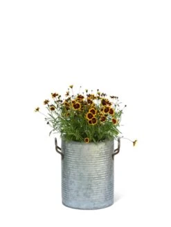 Galvanized Rim Planters 12 Galvanized Rim Planters -Cheap A Fresh Yard Store 8597442 1705 tif