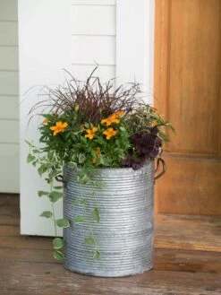 Galvanized Rim Planters 10 Galvanized Rim Planters -Cheap A Fresh Yard Store 8597443 1708 tif