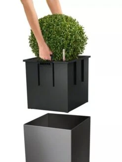 Lechuza® Cube Premium Planters -Cheap A Fresh Yard Store 8597506 04V tif