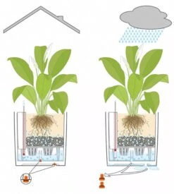 Lechuza® Cube Premium Planters -Cheap A Fresh Yard Store 8597506 05V tif