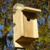 Eastern Bluebird Joy Box Bird House 2 Eastern Bluebird Joy Box Bird House -Cheap A Fresh Yard Store 8597754 01V tif