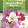 Sensation Blend Cosmos Organic Seeds 2 Sensation Blend Cosmos Organic Seeds -Cheap A Fresh Yard Store 8598224 01V tif