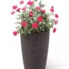 Weave Self-Watering Round Tall Planter, 12-1/2" 2 Weave Self-Watering Round Tall Planter, 12-1/2" -Cheap A Fresh Yard Store 8598371 3000 tif