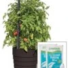 Gardener’s Victory Self-Watering Planter Garden Kit -Cheap A Fresh Yard Store 8598389 5000 tif