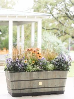 VegTrug™ Trough Planters 16 VegTrug™ Trough Planters -Cheap A Fresh Yard Store 8598402 08880 tif