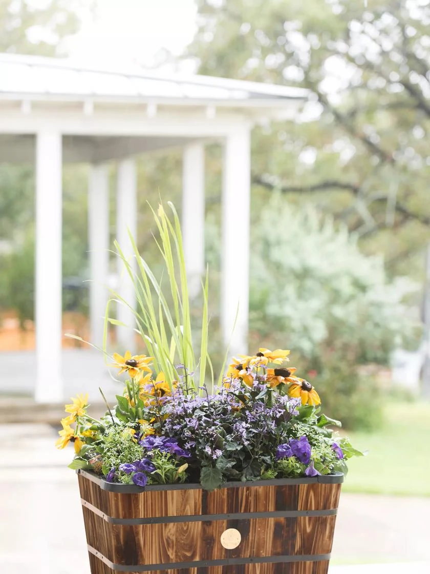 VegTrug™ Trough Planters 4 VegTrug™ Trough Planters - Image 2