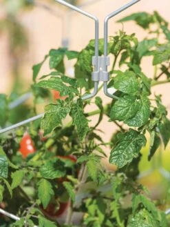 Gardener's Vertex Lifetime Tomato Cage 10 Gardener's Vertex Lifetime Tomato Cage -Cheap A Fresh Yard Store 8598426 0011 tif