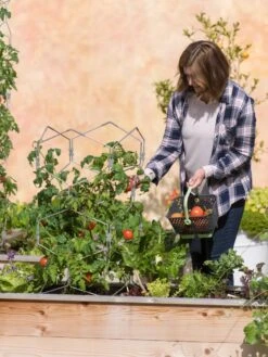 Gardener's Vertex Lifetime Tomato Cage 11 Gardener's Vertex Lifetime Tomato Cage -Cheap A Fresh Yard Store 8598426 0026 tif