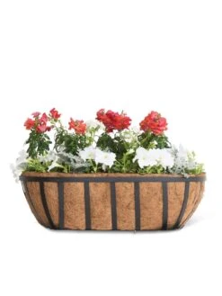 AquaSave™ Oxford Window And Deck Planters 9 AquaSave™ Oxford Window And Deck Planters -Cheap A Fresh Yard Store 8598626 8809 tif