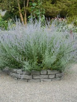 Rock Lock Interlocking Garden System, Curved Sets 13 Rock Lock Interlocking Garden System, Curved Sets -Cheap A Fresh Yard Store 8598737 04V tif