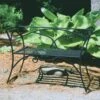 Achla Designs Wrought Iron Arbor Bench With Back -Cheap A Fresh Yard Store 8598749 01V tif