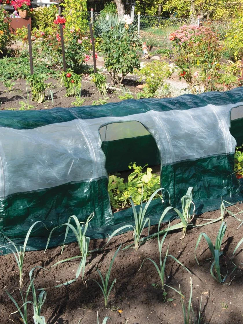 Super Dome Protection Tunnel 3 Super Dome Protection Tunnel