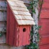 Heartwood Bluebird Bunkhouse Bird House -Cheap A Fresh Yard Store 8598855rw 02v heartwood bluebird bunkhouse bird house redwood