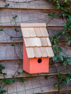 Heartwood Fruit Coops Bird House 11 Heartwood Fruit Coops Bird House -Cheap A Fresh Yard Store 8598856 04v