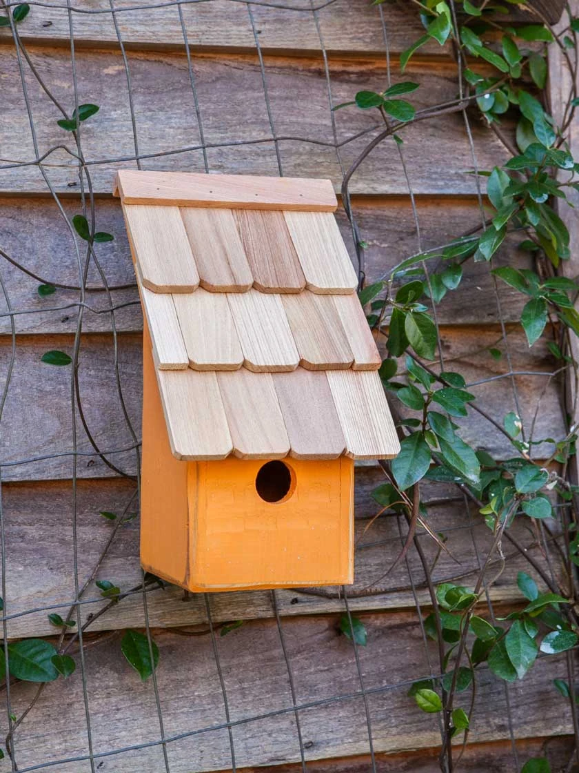 Heartwood Fruit Coops Bird House 4 Heartwood Fruit Coops Bird House - Image 2