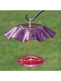 Birds Choice™ Hummingbird Nectar Feeder With Weather Guard Kit -Cheap A Fresh Yard Store 8598910 01v