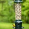 Brome ® Squirrel Buster Plus™ Bird Feeder -Cheap A Fresh Yard Store 8598916 1311 tif
