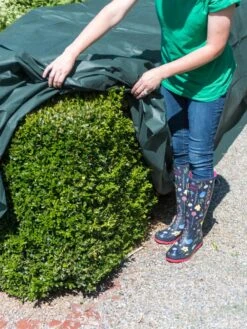 The Planket® Frost Protection Plant Cover, 10' X 20' -Cheap A Fresh Yard Store 8599101 0929 tif