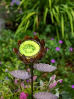 Dahlia Butterfly Feeder -Cheap A Fresh Yard Store 8599369 683 tif