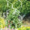 Gardener's Vertex Lifetime Pepper And Eggplant Cage -Cheap A Fresh Yard Store 8599554 3000 tif