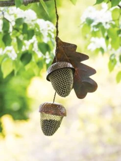 Acorn Bird Feeder 7 Acorn Bird Feeder -Cheap A Fresh Yard Store 8599573 14075 tif