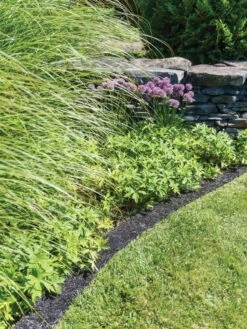 Recycled Rubber Mulch Edging, 12’ X 6” 9 Recycled Rubber Mulch Edging, 12’ X 6” -Cheap A Fresh Yard Store 8599854 0897 tif