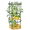Titan Pepper Eggplant Cages, Set Of 3 -Cheap A Fresh Yard Store 8599859 0001 art tif