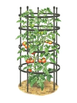 Titan Tomato Cages, Set Of 3 13 Titan Tomato Cages, Set Of 3 -Cheap A Fresh Yard Store 8599861 0001 art tif