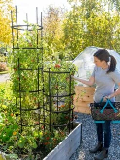 Titan Tomato Cages, Set Of 3 11 Titan Tomato Cages, Set Of 3 -Cheap A Fresh Yard Store 8599861 0114 tif