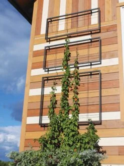 Exeter Wall Trellis -Cheap A Fresh Yard Store 8600049 7121 tif