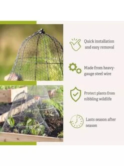 Chicken Wire Cloche With Extension 17 Chicken Wire Cloche With Extension -Cheap A Fresh Yard Store 8600116 3