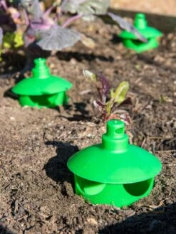 Slug And Snail Traps, Set Of 3 -Cheap A Fresh Yard Store 8600120 1788