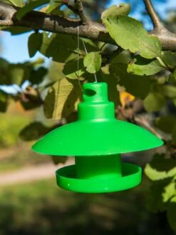 Slug And Snail Traps, Set Of 3 -Cheap A Fresh Yard Store 8600120 1792