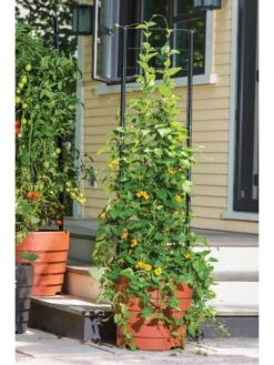 Vine Trellis For Gardener's Victory Self-Watering Planter With Support System 5 Vine Trellis For Gardener's Victory Self-Watering Planter With Support System -Cheap A Fresh Yard Store 8600175 0733 3 4
