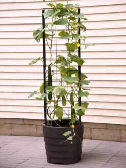 Gardener’s Victory Self-Watering Planter With Vine Trellis -Cheap A Fresh Yard Store 8600177 9876 tif