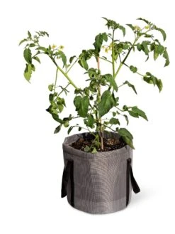 Reinforced Colorful Grow Bags 13 Reinforced Colorful Grow Bags -Cheap A Fresh Yard Store 8600229 0944 tif