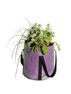 Reinforced Colorful Grow Bags 10 Reinforced Colorful Grow Bags -Cheap A Fresh Yard Store 8600230 0948 tif
