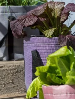 Reinforced Colorful Grow Bags 11 Reinforced Colorful Grow Bags -Cheap A Fresh Yard Store 8600230 20013 tif